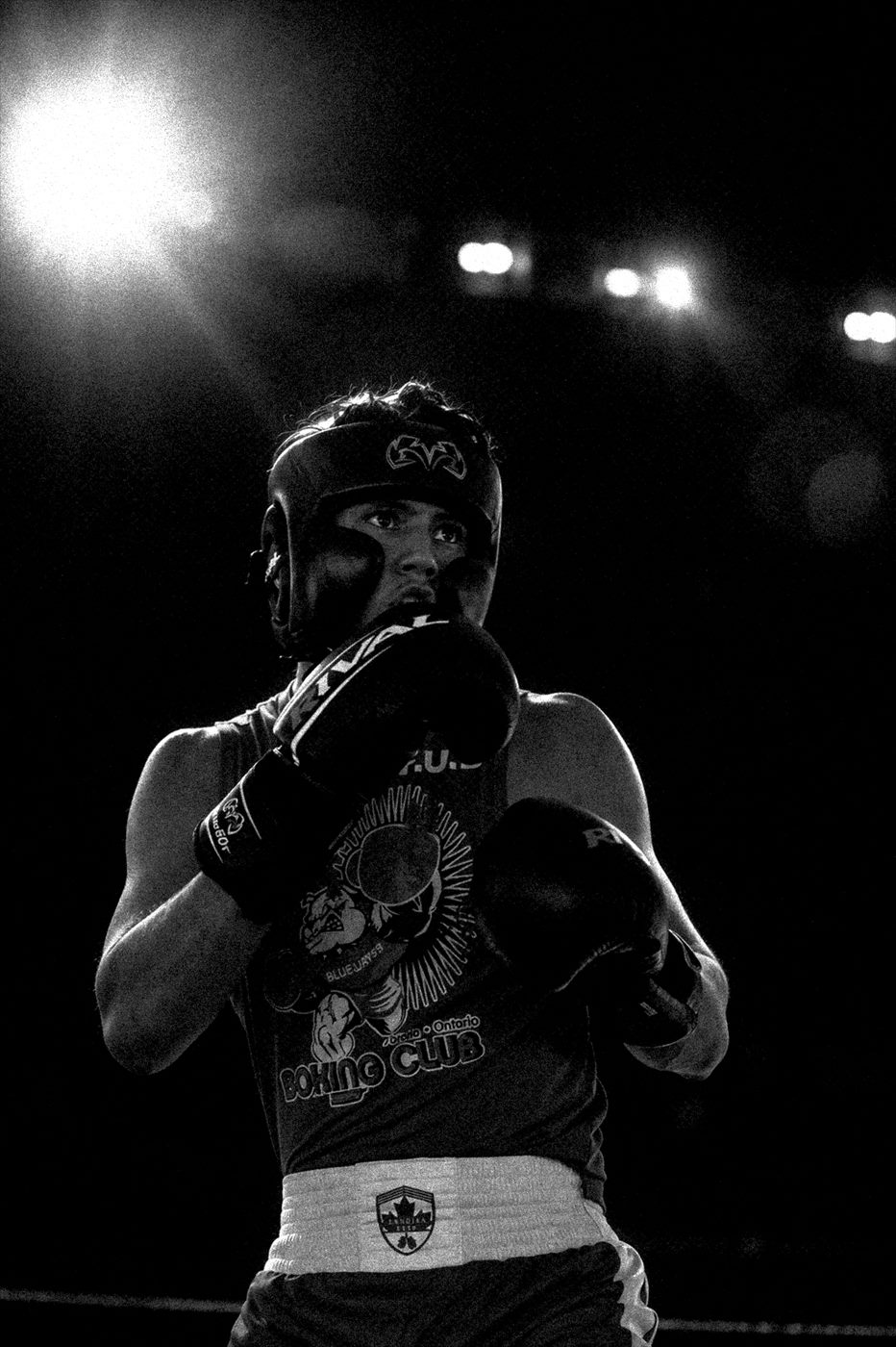 Boxer standing beneath arena lights with gloves raised.